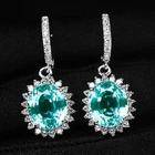 925 Sterling Silver Lever Back Earrings Greenish Blue Paraiba Tourmaline 7.73Ct