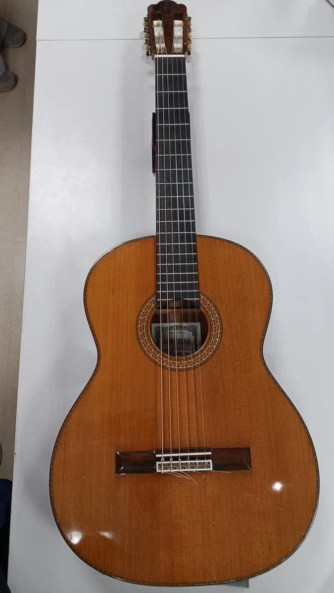 希少　ASTURIAS E.C. MAPLE TOP 希少 ASTURIAS E.C. MAPLE TOP