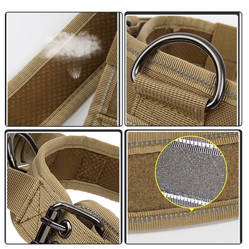 Guinzaglio + Collare Resistente Addestramento Tattico Cane Militare Fibbia Metallo Regolabile - Foto 6 di 29