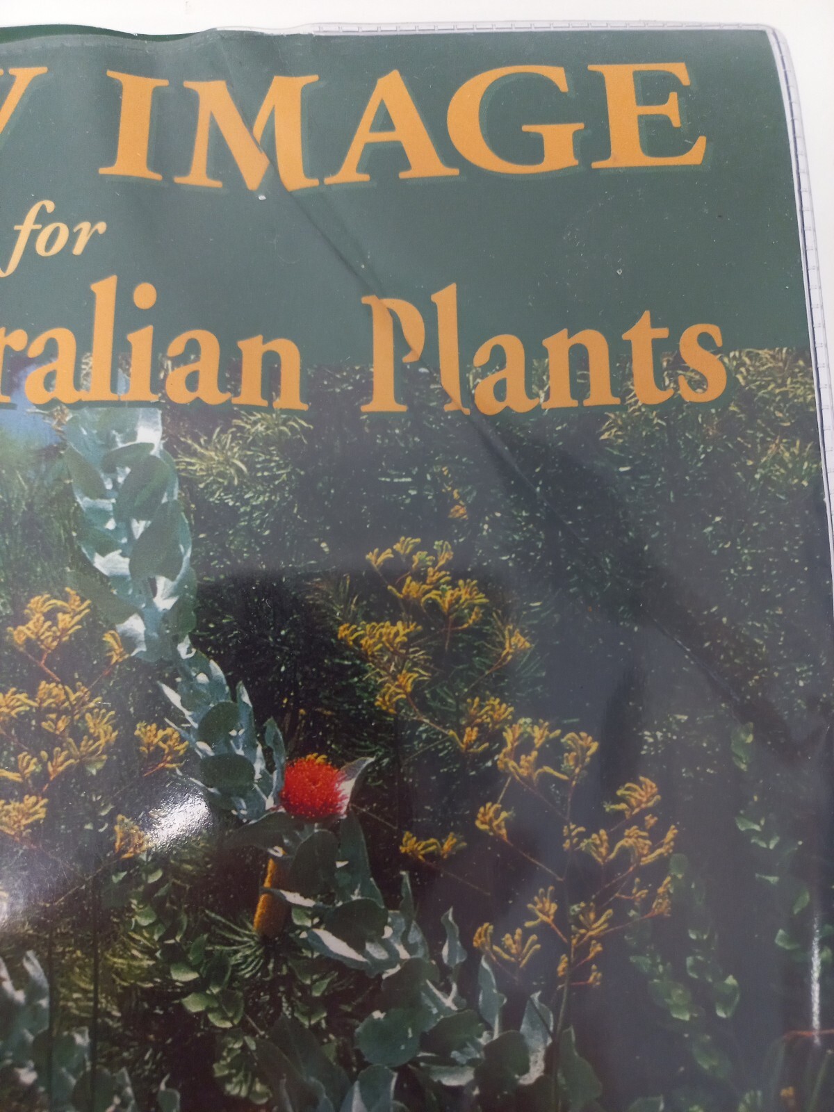 A New Image for West Australian Plants by Lullfitz (Paperback