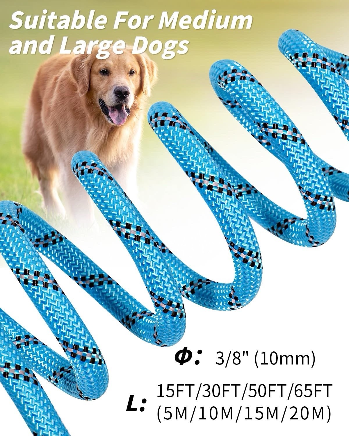 Long Leash for Dog with Removable Padded Handle For Large Medium Dogs 50ft Blue
