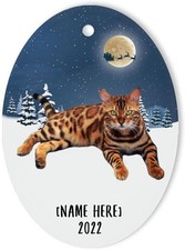 Brown Red Bengal Cat Ornaments for Christmas Tree Personalized Name Gifts 202...