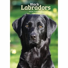 Carousel Calendars Black Labradors A5 Diary 2026