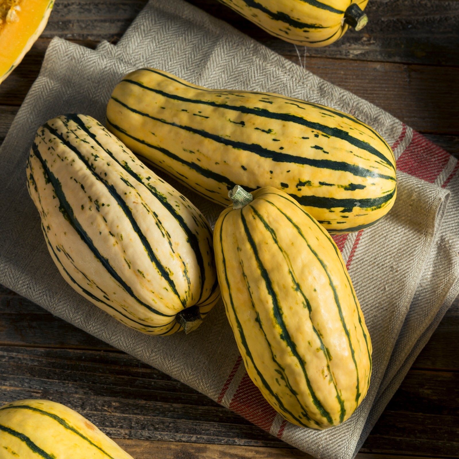 SQUASH - DELICATA  30 FINEST SEEDS