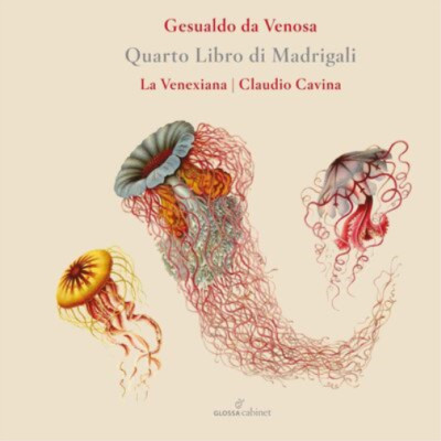 Gesualdo da Venosa Gesualdo Da Venosa: Quarto Libro Di Madrigali (CD) Album