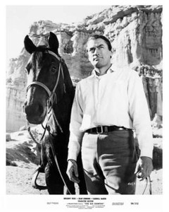 gregory 8x10 peck j480 horse still country great big