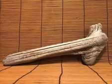 Beautiful 13" DRIFTWOOD Piece Terrarium Taxidermy Aquarium Art Reptile DECOR