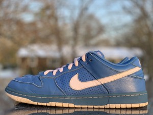 nike sb t19