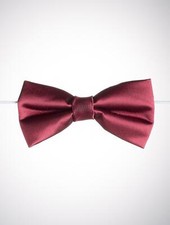 Boys Burgundy Elasticated Dickie Bow Tie Page Boy Wedding Prom Dickie Bows