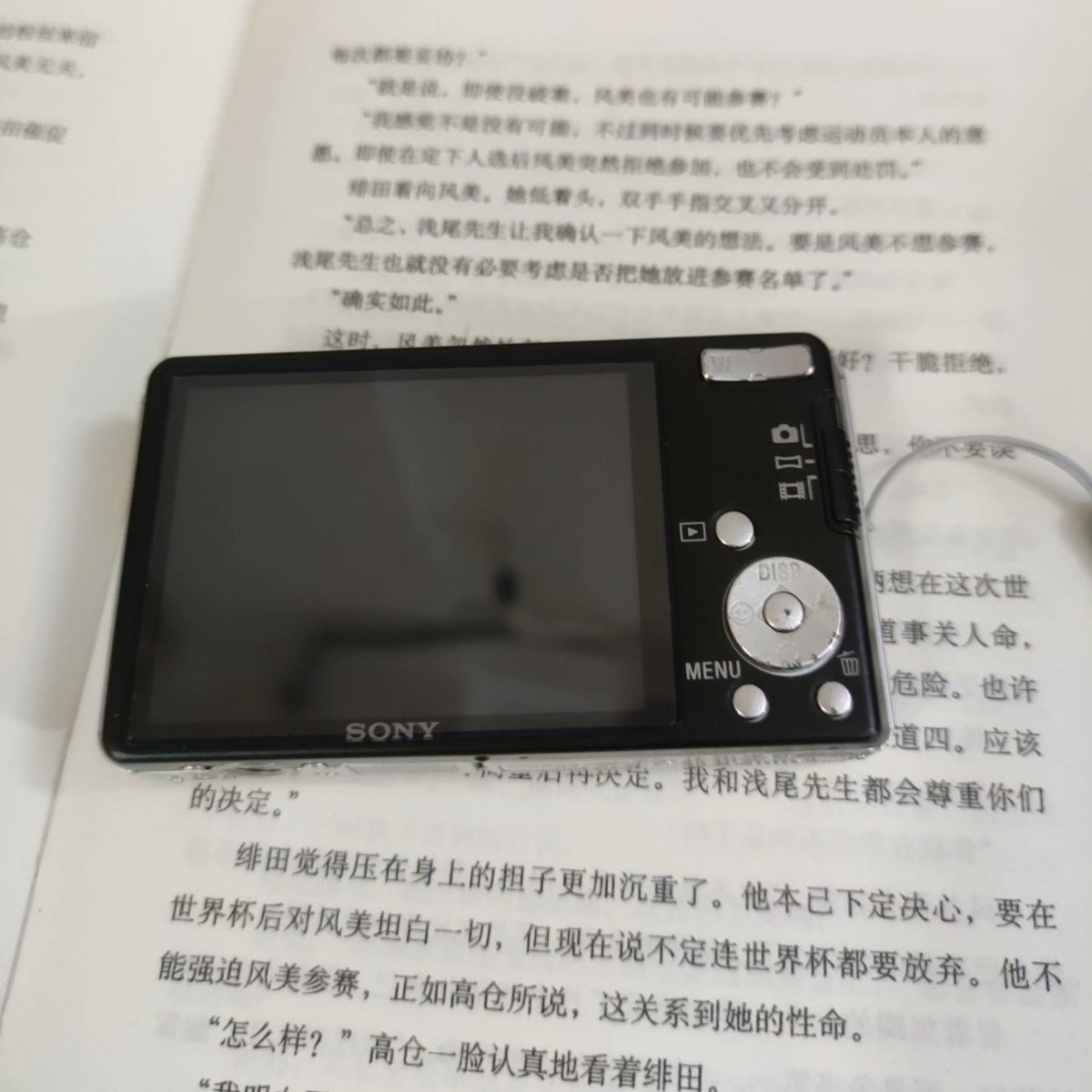 SONY Cyber-Shot DSC-W350 Digital Camera 14.1 MP 4x Optical Zoom