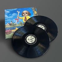 Angels Of Light - We Are Him - Vinyl Record 12 Record - G1398Z