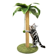 Cat Scratching Post 36 Inch Tall Palm Tree Sisal Scratcher Toy Ball Indoor