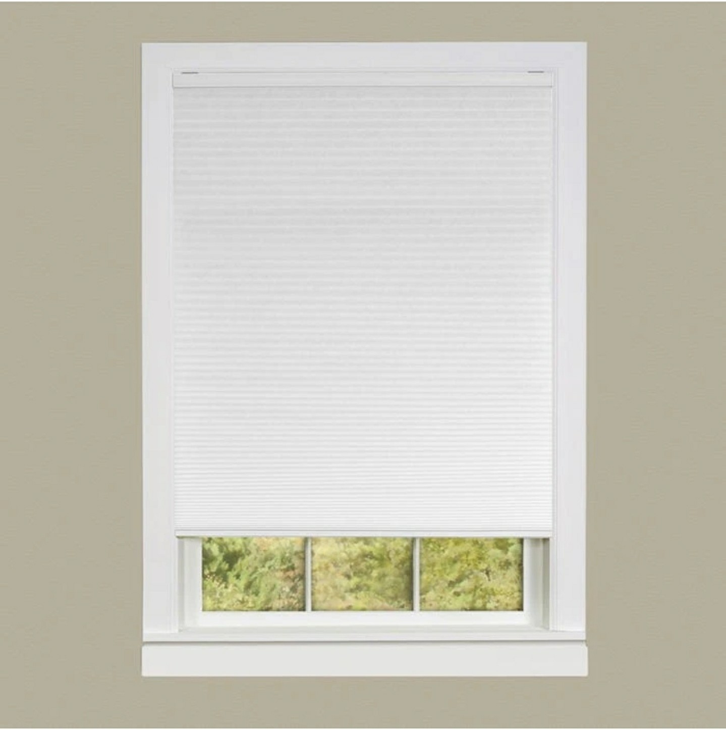 Cordless Honeycomb Cellular Pleated Shade 31x64 - White