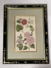 The Bombay Company Private Collection Floral Print Black  Lacquer Frame Gold Bee