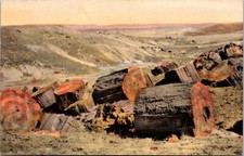 Petrified Wood in Petrified Forest Near Holbrook Arizona Postcard