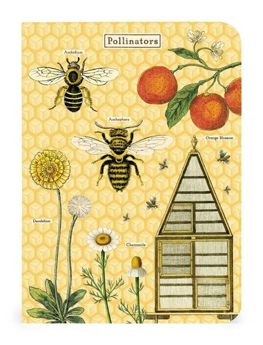 Cavallini - Set of 3 Mini Notebooks - Honey Bees - Lined/Blank/Graph Interiors - 第 4/4 張圖片