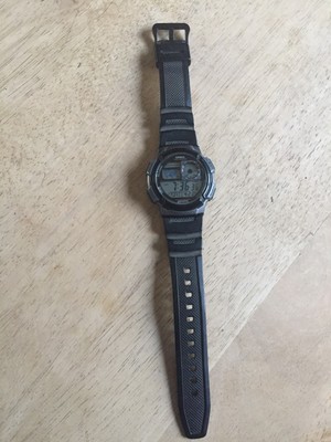casio 3198 3299
