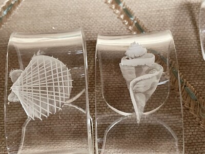 Reverse Carved Various Seashell Patterns Lucite/Plastic/Acrylic