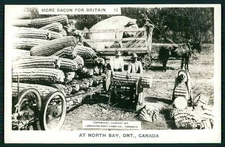 cc Photomontage Exaggeration corn cob Canada original 1920s RPPC photo postcard
