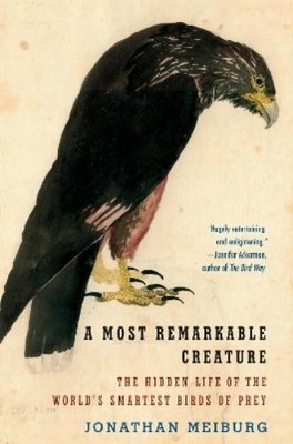 Jonathan Meiburg A Most Remarkable Creature (Taschenbuch)