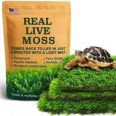Live Moss Variety Pack for Reptiles  3-Pack Mixed Real Terrarium Mosses