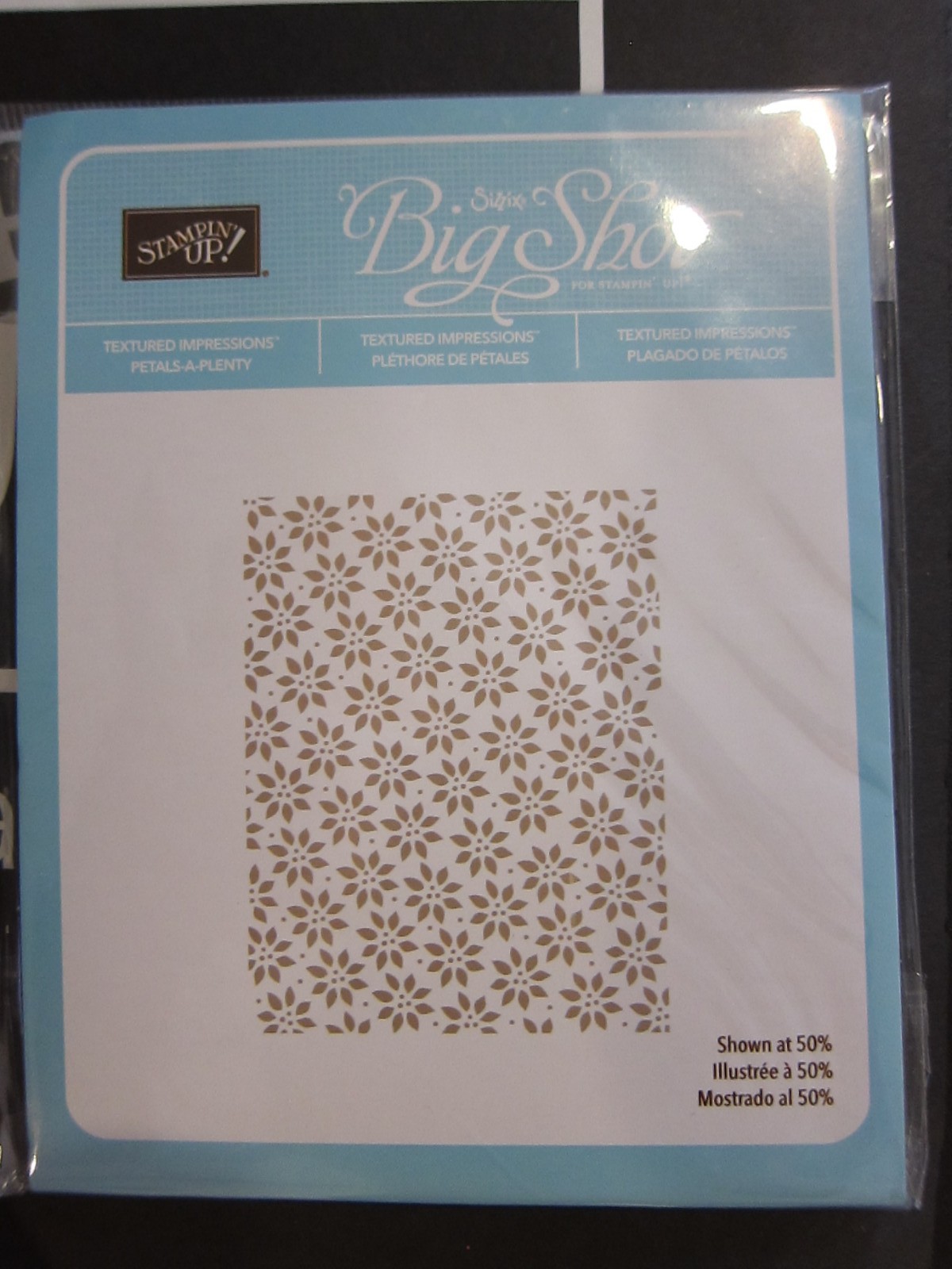 Stampin Up Textured Impressions Embossing Folder | eBay