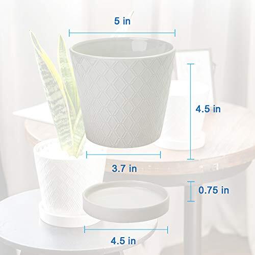 BUYMAX Plant Pots Indoor –5 inch Ceramic Flower Pot with Assorted Colors - Picture 2 of 33