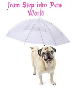 dog lead umbrella