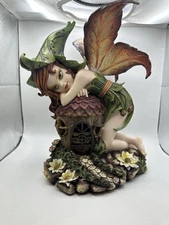 Fairy Lying On House #91718