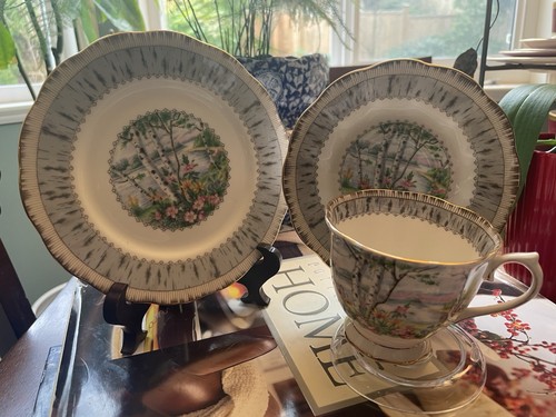 Vintage Royal Albert Silver Birch Gold Trim Tea Cup & Saucer & Bread Plate Trio - Picture 1 of 10