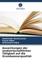 Abdelkader Bemmoussat (u. a.) | Auswirkungen ...