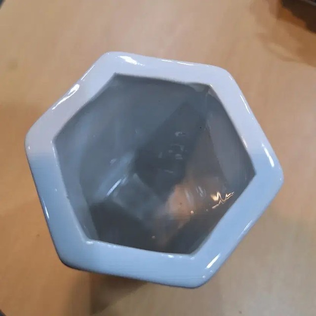 Antique Porcelain Pen Case with Elegant Artwork