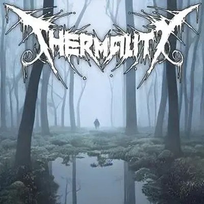 Before I Get To Rest | Thermality | Audio-CD | CD | 2025 | Integral