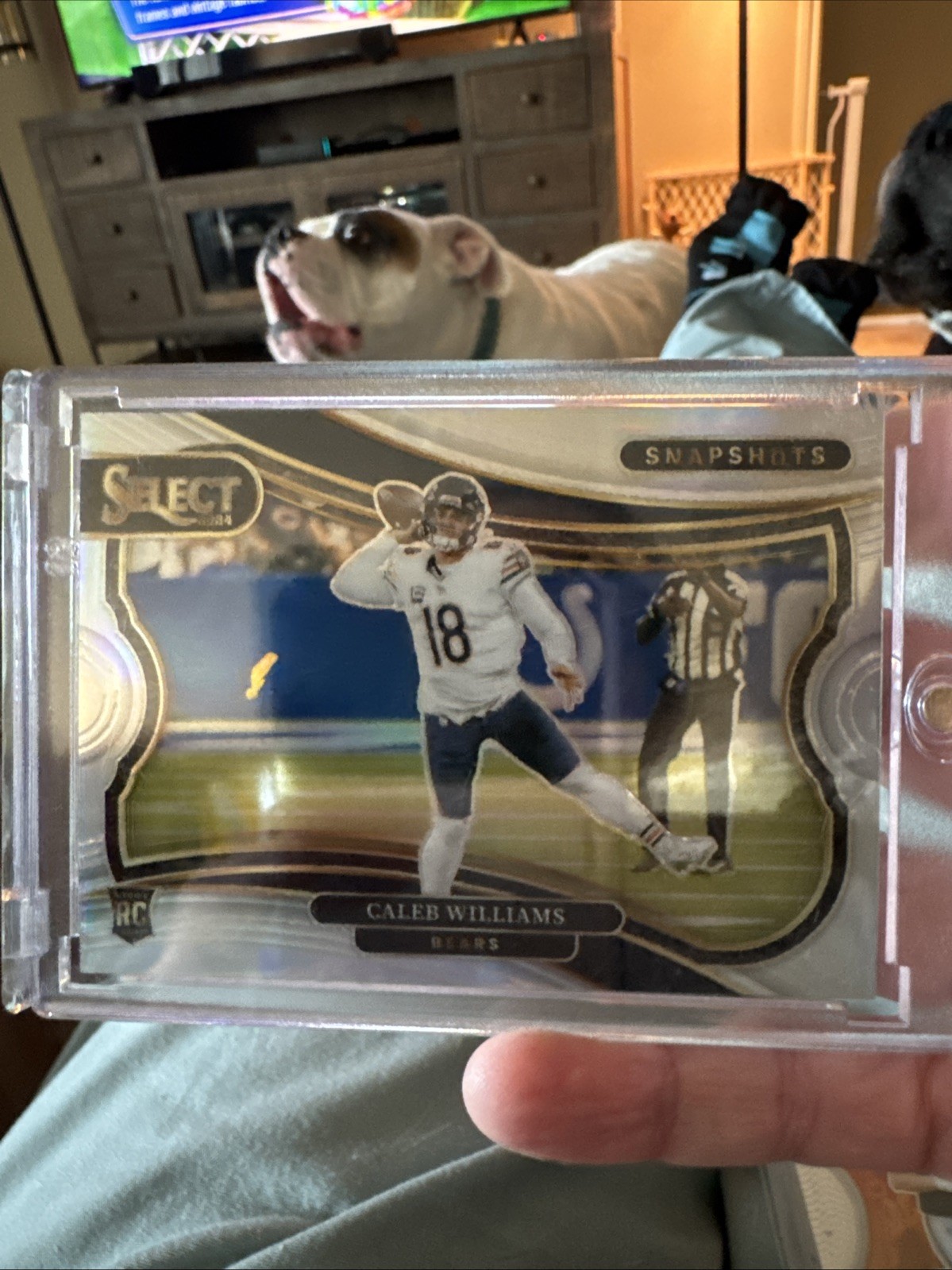 2024 Panini Select - Snapshots Caleb Williams #14 Silver Prizm (RC)