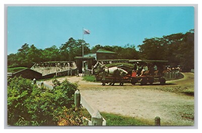 Mackinac Island Michigan Fort Holmes Horse Carriage Tours Vintage Postcard UNP