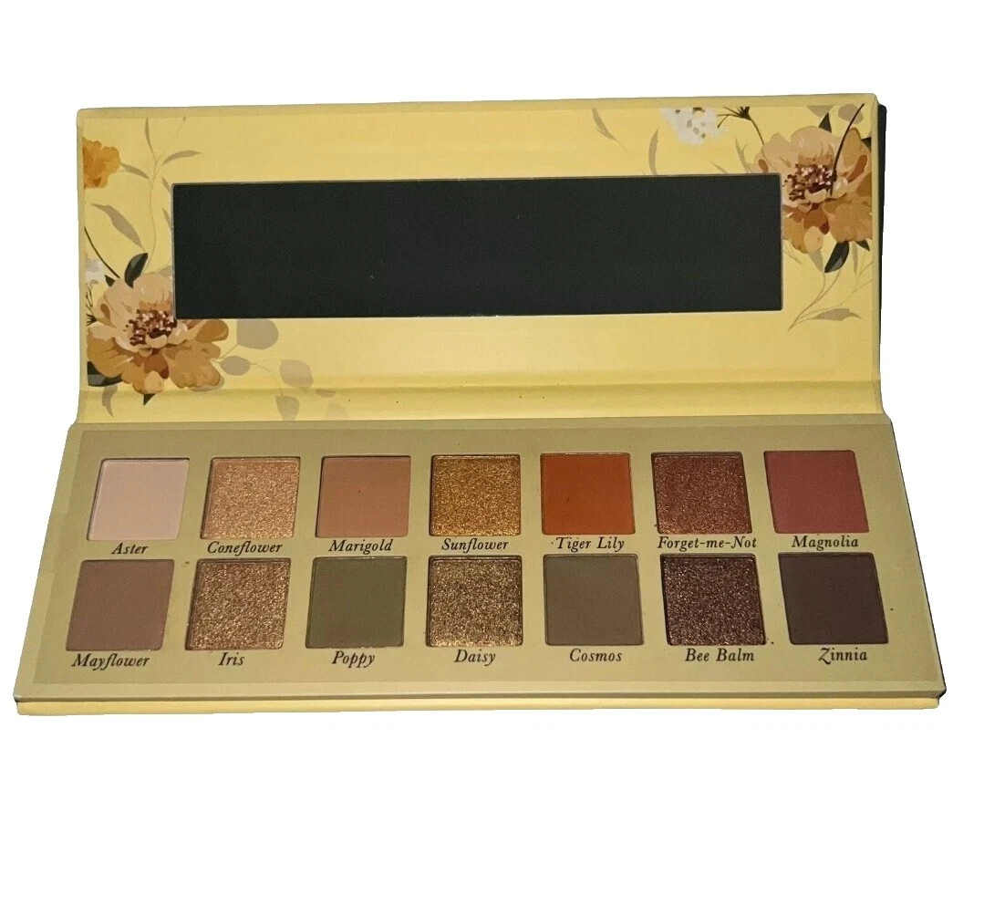 Laura Geller Brown Eye Makeup