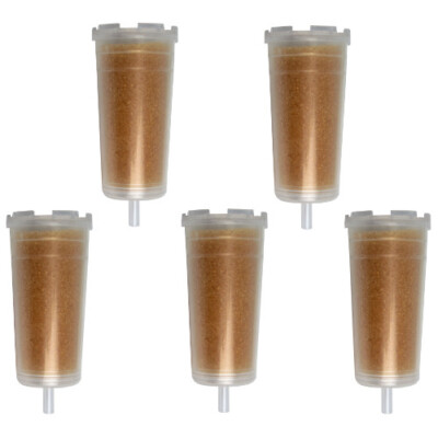 Wasserfilter Filterpatrone Kalkfilter Bezzera BZ10-BZ07-Hobby Siebträger 5er-Set