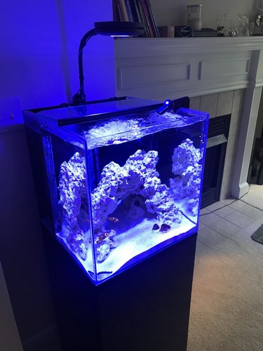 21G RED SEA REEFER SALTWATER TANK WITH SUMP + BLACK RED SEA CABINET for sale!