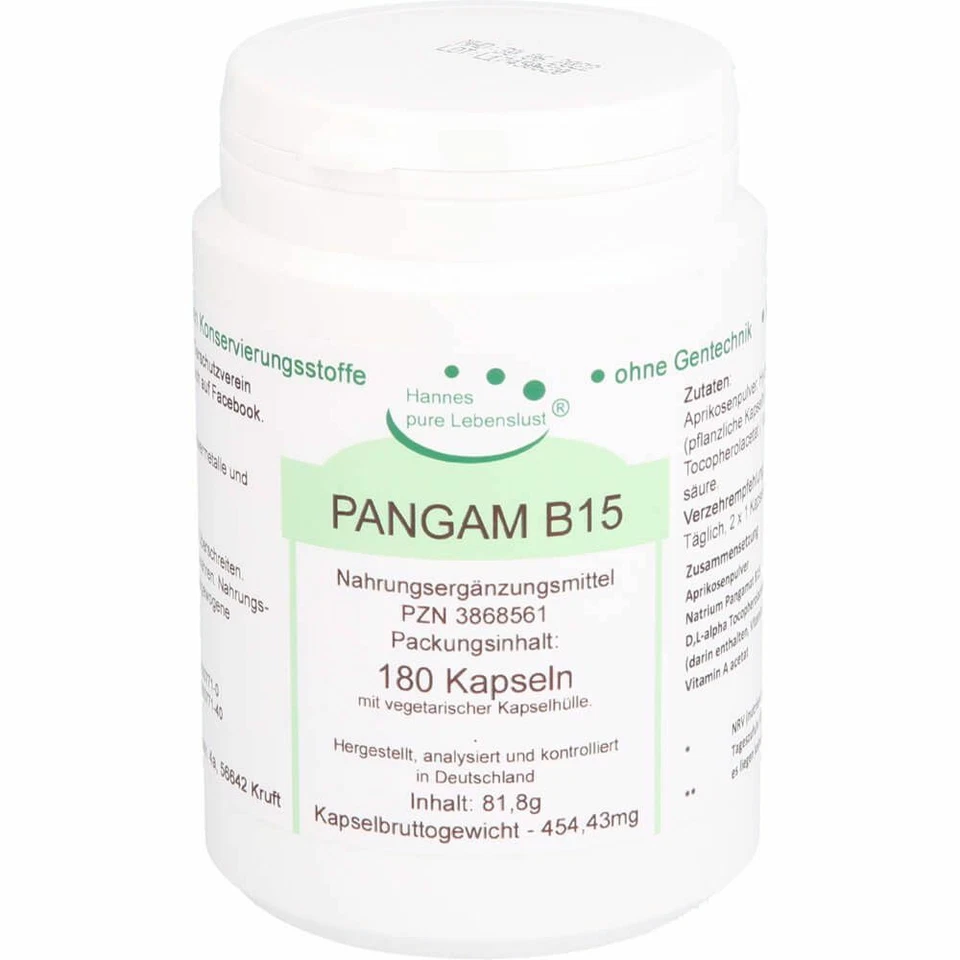 G & M NATURWAREN IMPORT GMBH & CO. KG PANGAM Vitamin B15 Vegi Kapseln 180 St PZN03868561