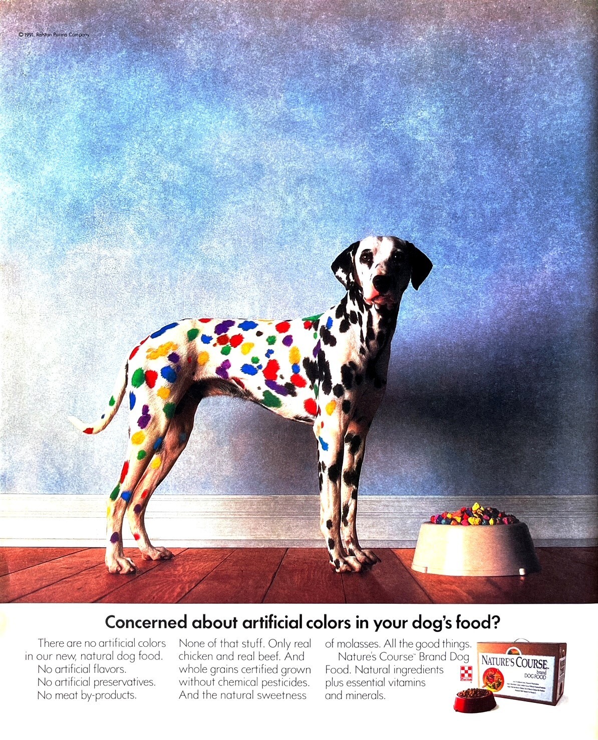 1991 COLOR SPOTTED DALMATIAN Genuine Vintage Print Ad Nature
