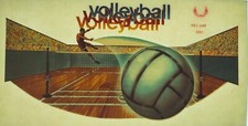 Original Vintage Volleyball Iron On Transfer