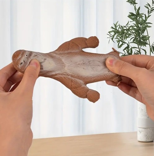 Squeeze Orangutans - Zdjęcie 3 z 3