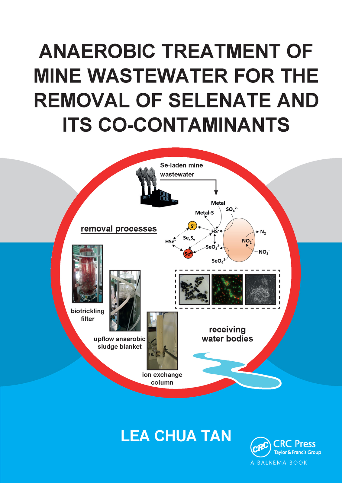 Anaerobic Treatment of Mine Wastewater for the Removal of Selenate and its Co...