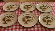 Denby Cotswold 6 x round dinner plates 25cm