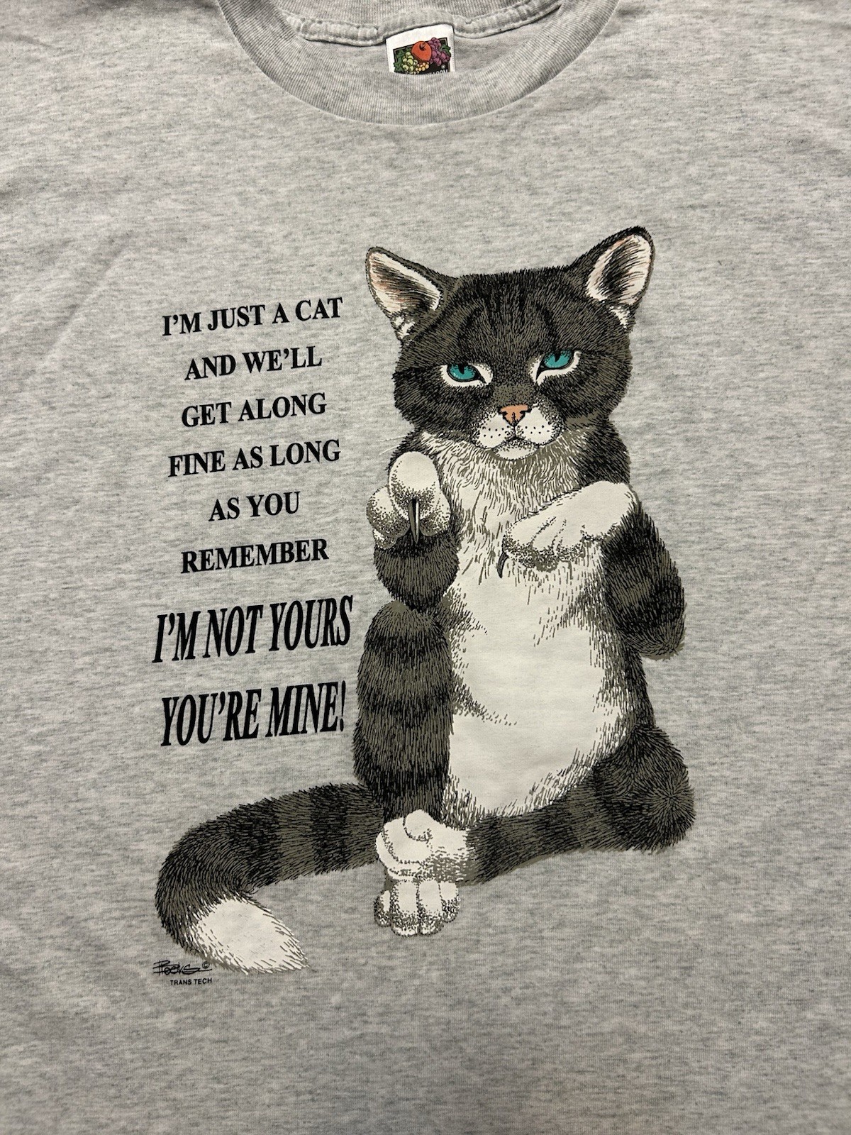 Gray adult T-shirt with black and white cat image, blue eyes, and text “I’m just a cat and we’ll get along fine as you remember.”