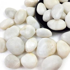 5lbs Large Pebbles for Indoor Plants, 2-3 Inch Natural River Rocks for Aquari...