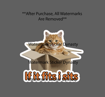 Cat In A Box Sticker Waterproof Decal Fits I Sits Cute Funny Humor Gift NEW