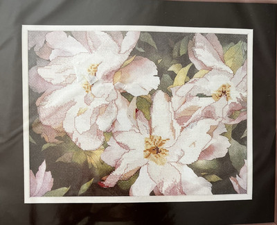 JCA Needle Treasures Printed Counted Cross Stitch #02584 Pink Peonies 12'' x 9''