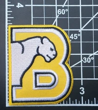 Birmingham So. Panthers 3" Iron On Embroidered Patch ~FREE Tracking!