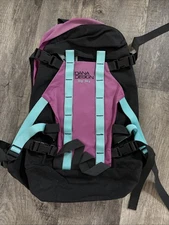 Dana Design (Dana Design) Big Sky Backpack Spruce Small, EUC